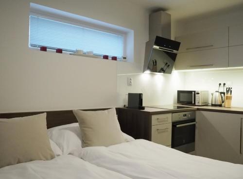 AP10 - Apartments 4U Březinova "Overnight Simply" Booking.com提供写真