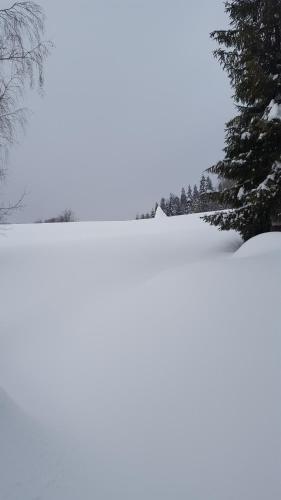 Bacówka w sercu gór - dom z bali w Gorcach Bacówka w sercu gór - dom z bali w Gorcach