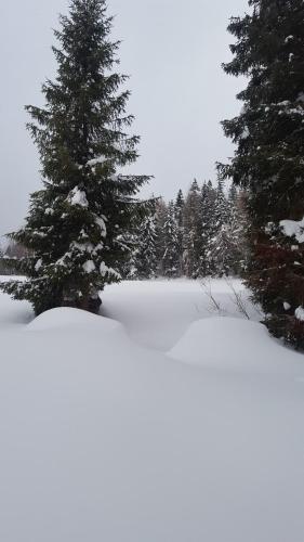 Bacówka w sercu gór - dom z bali w Gorcach Bacówka w sercu gór - dom z bali w Gorcach