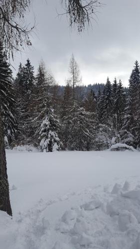 Bacówka w sercu gór - dom z bali w Gorcach Bacówka w sercu gór - dom z bali w Gorcach