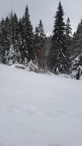 Bacówka w sercu gór - dom z bali w Gorcach Bacówka w sercu gór - dom z bali w Gorcach