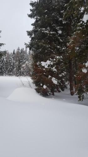 Bacówka w sercu gór - dom z bali w Gorcach Bacówka w sercu gór - dom z bali w Gorcach