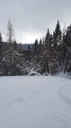 Bacówka w sercu gór - dom z bali w Gorcach Bacówka w sercu gór - dom z bali w Gorcach