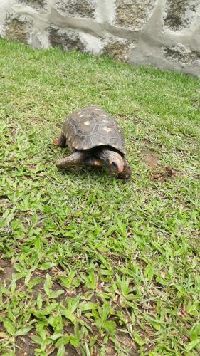 Chale Canto do Galo in Agua Branca