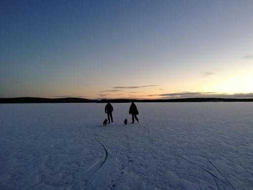 Attractions, Villa Rauha in Akaslompolo