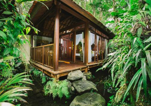 Heaven in Bali, Penginyahan (fotografie 7)
