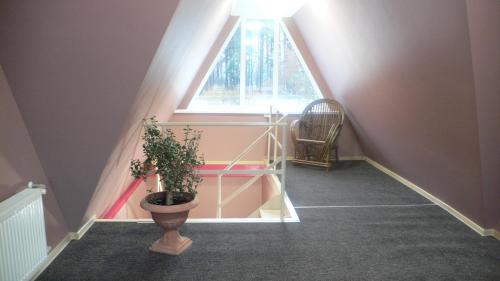 Motelis Bu-Bu in 普拉維納斯