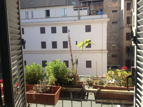 Toffa Place In Rome, Řím (fotografie 7)