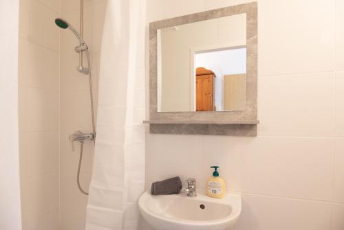 Vienna City Apartment Schnirchgasse, Viena (foto 6)