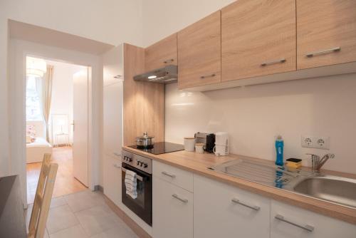 Vienna City Apartment Schnirchgasse, Viena (foto 3)