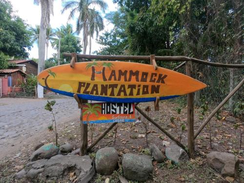 Hammock plantation