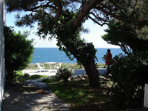 Estrella del Mar in Puerto de la Selva