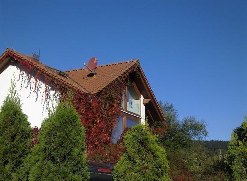 Ferienhaus am Löffelberghüttchen