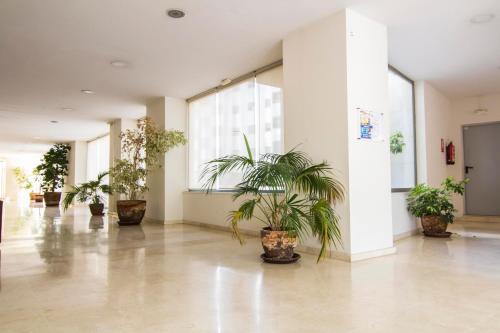Apartamento Racimo El Puerto de Santa Maria - image 9