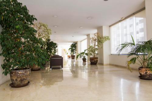 Apartamento Racimo El Puerto de Santa Maria - image 4