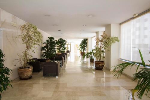 Apartamento Racimo El Puerto de Santa Maria - image 7