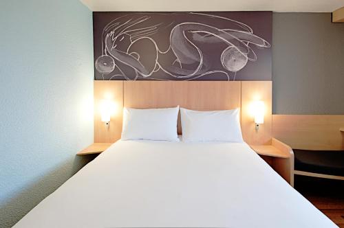 Ibis Cornella