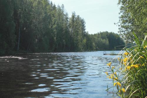 Коттедж в Финляндии, Enonkoski (розовый)