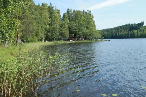 Коттедж в Финляндии, Enonkoski (розовый)