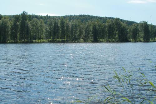 Коттедж в Финляндии, Enonkoski (розовый), Enonkoski (foto 7)