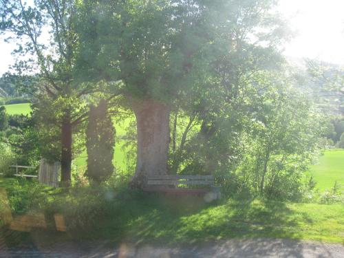 Sogn Gjestegard - image 11