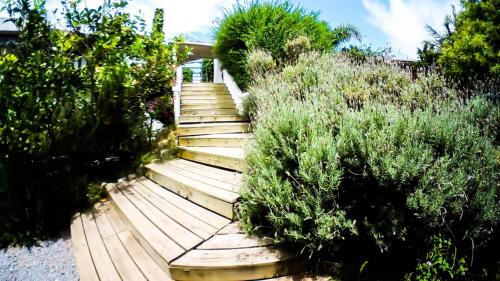 Complejo Oceanico, Punta del Diablo (photo 9)