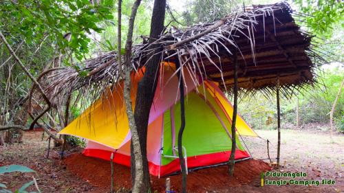 Sigiri Jungle Camping Sigiriya