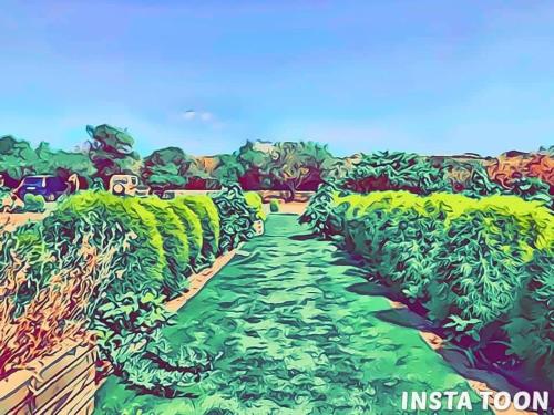 Villa Maria with Private Swimming Pool
