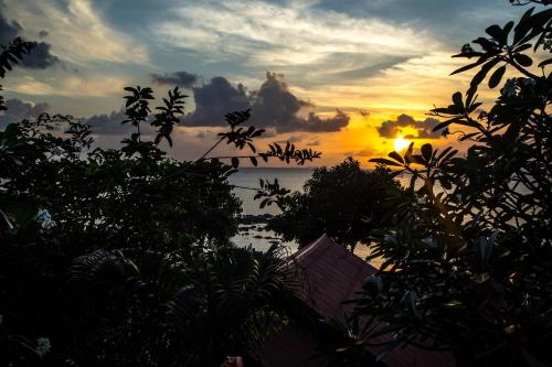 Zama Resort Koh Phangan