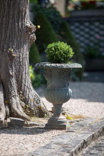 Hôtel Relais d'Aumale - image 3