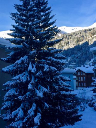 Studio Riedwiese, Davos (foto 9)