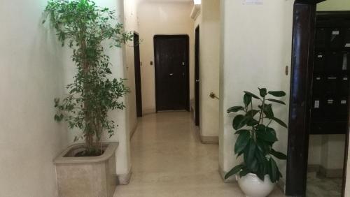 Two Chic Guesthouse - image 11