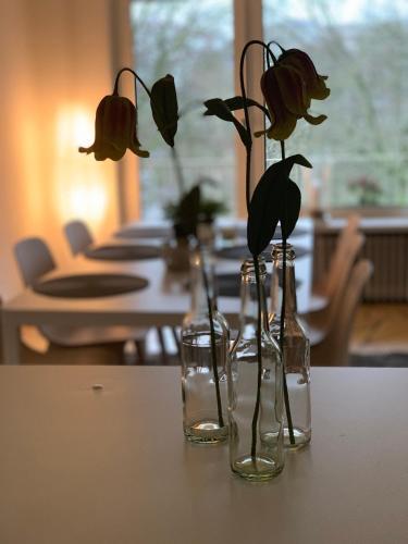 Ferienwohnung Parkblick