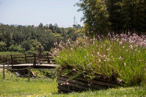 HERDADE DO FREIXIAL-TURISMO EM ESPAÇO RURAL UNIPESSOAL LDA
