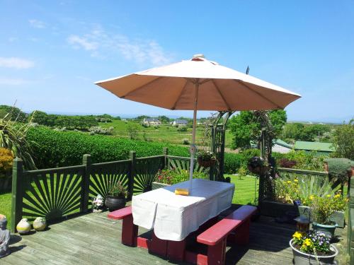 Garden, Mount Edward Lodge in Other