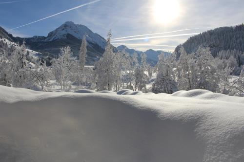Balkon/terasa, Ferienhaus Gschwandtl in Mitterkleinarl