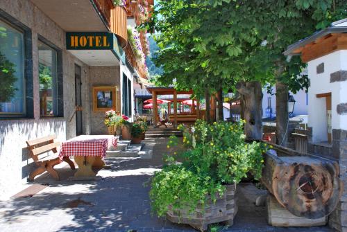 Hotel Alpenrose in Muhlbach