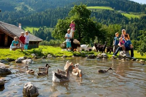 Hotel Alpenrose Mühlbach am Hochkönig