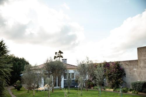 Azores Olive Green House