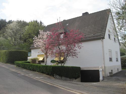 Ferienwohnung Weber - Apartment - Schleiden