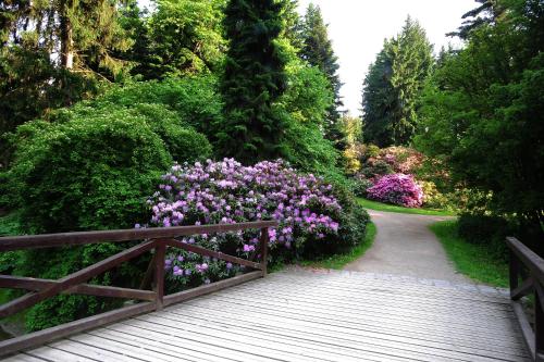 Park Hotel Pruhonice - image 13