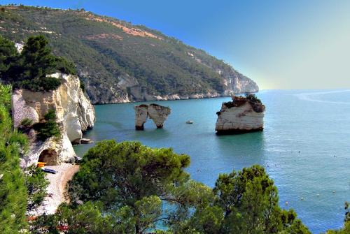 Appartamento Manfredi