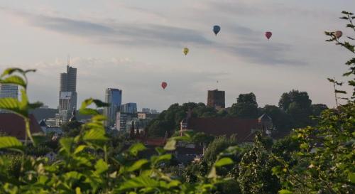 Vokiečių g.