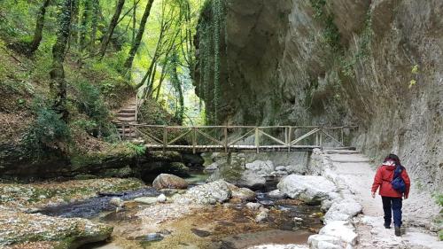 La Pretèra - image 11