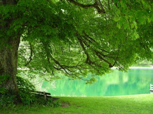 Gasthof Botenwirt - main image