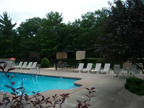 Tall Pines Motel - image 8