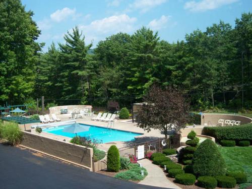 Tall Pines Motel - 정원