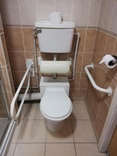 Corn Mill Lodge Hotel - image 6