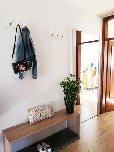 Apartma Jancic
