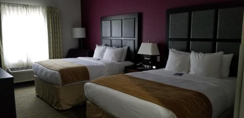 Comfort Inn Suites In Ok